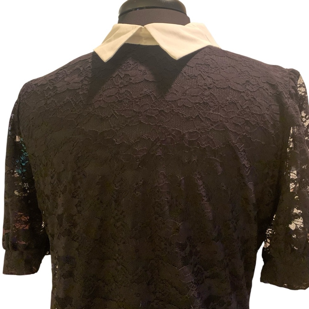 Petite Chic Black Lace Blouse with White Collar - Picture 7 of 8